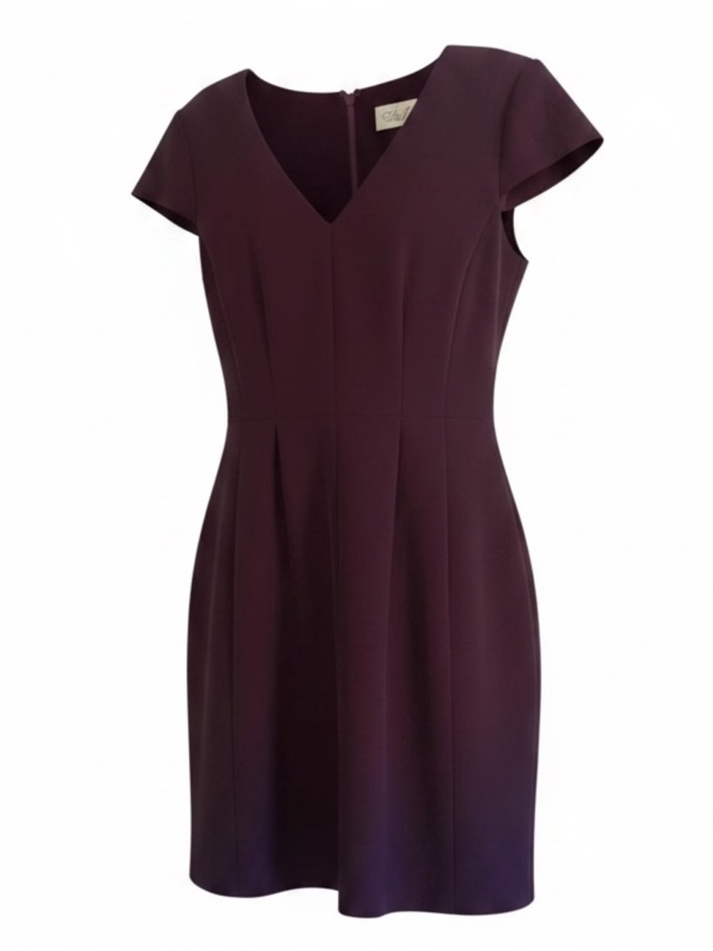 -
Eliza J
Eliza J Purple Fit & Flare Pleated Cocktail Dress Cap Sleeves size 6